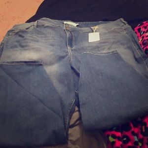 Torrid Jegging Jeans